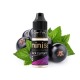 Mini Salt Black Currant 10 ml