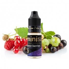 Mini Salt Forest Berries 10 ml