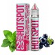 Hotspot Fuel Salt Currant Mint 30 ml