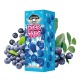 PickNic Salt Blueberry 30 ml