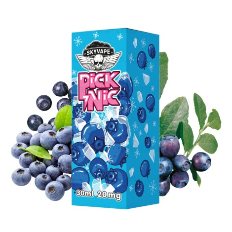 PickNic Salt Blueberry 30 ml