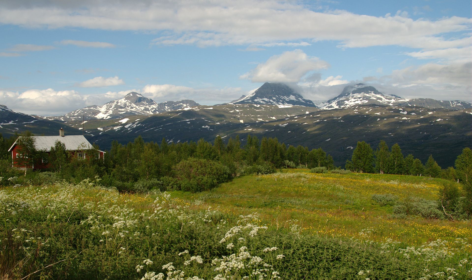 E-liquids in Fauske